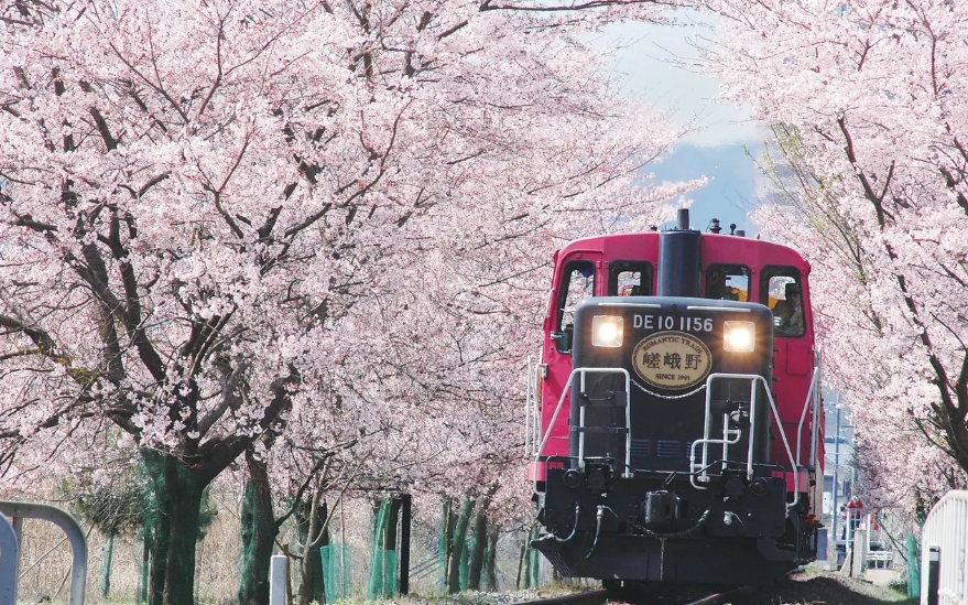 2023日本賞櫻花景點、秘境推薦排行榜前3名清單:
